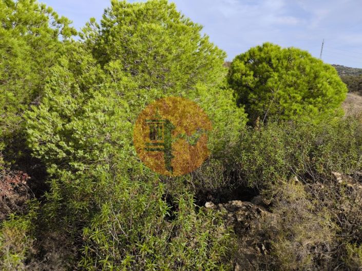 Image No.3-Plot for sale