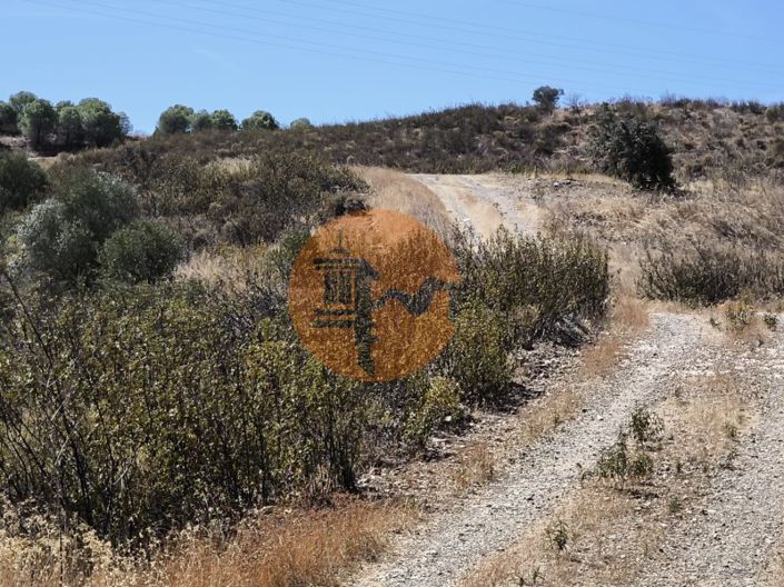 Image No.20-Plot for sale