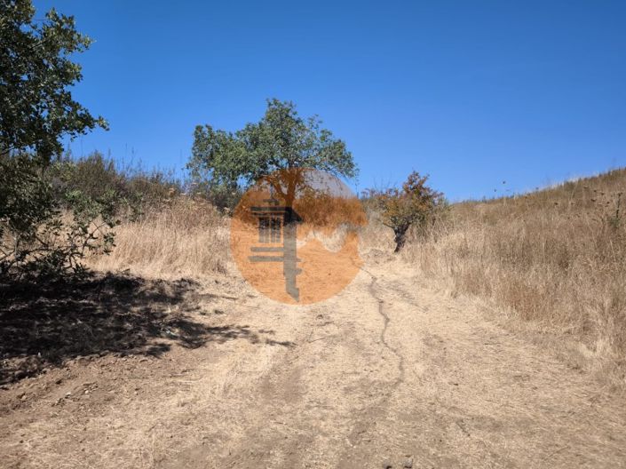 Image No.23-Plot for sale