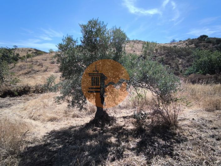 Image No.26-Plot for sale