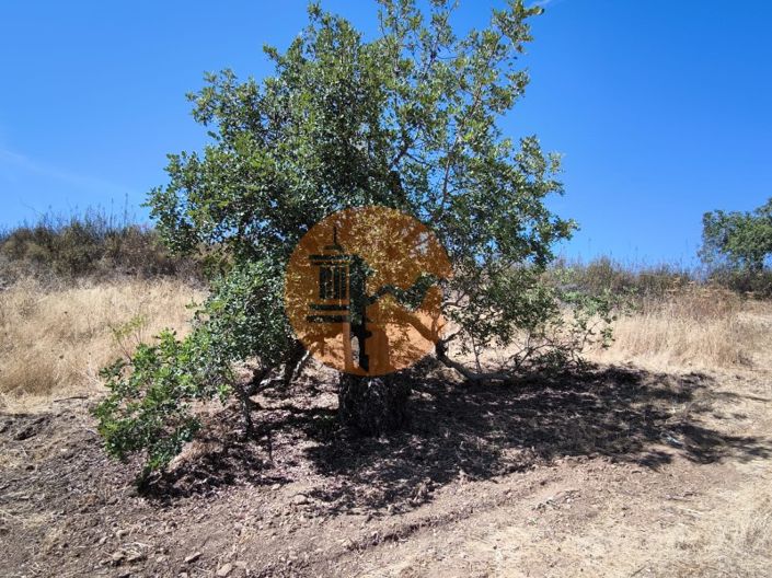 Image No.28-Plot for sale