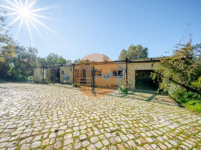 Image No.52-8 Bed House for sale