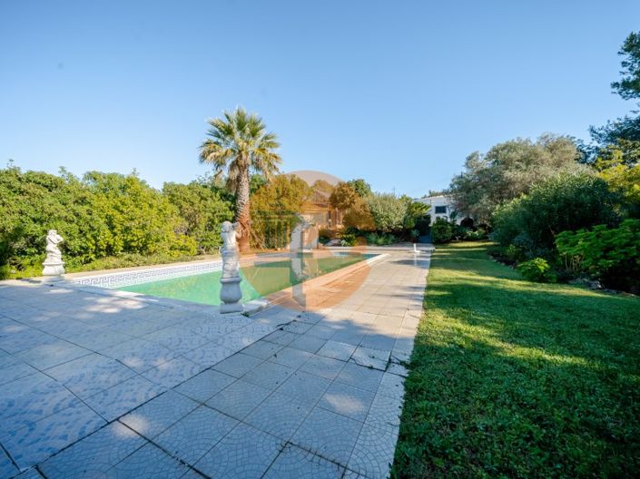 Image No.53-8 Bed House for sale