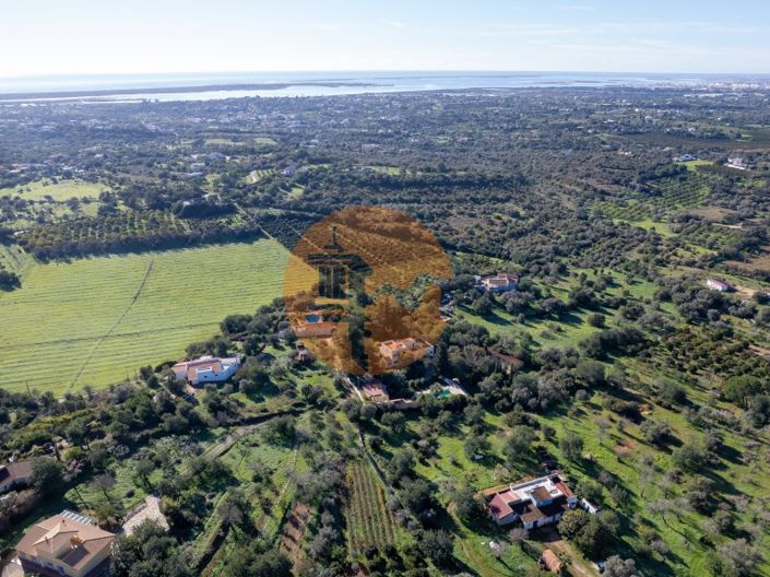 Image No.8-8 Bed House for sale