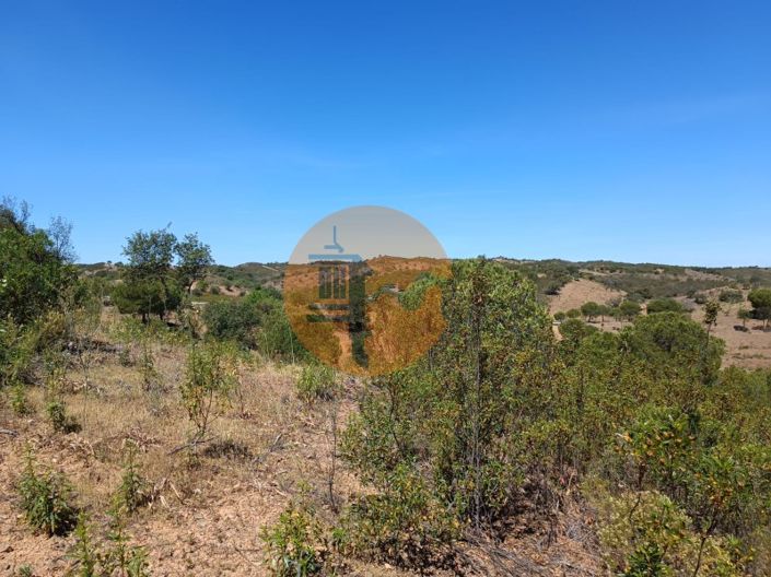 Image No.10-Plot for sale