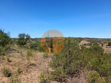 id75c16a01-0000-0500-0000-00001142c5a5