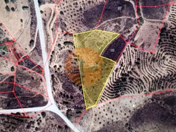 id75c16a01-0000-0500-0000-00001142c5a7