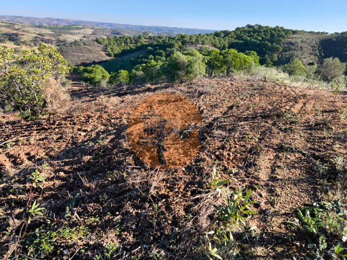 Image No.13-Plot for sale