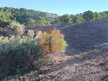 id75c16a01-0000-0500-0000-0000181a8351