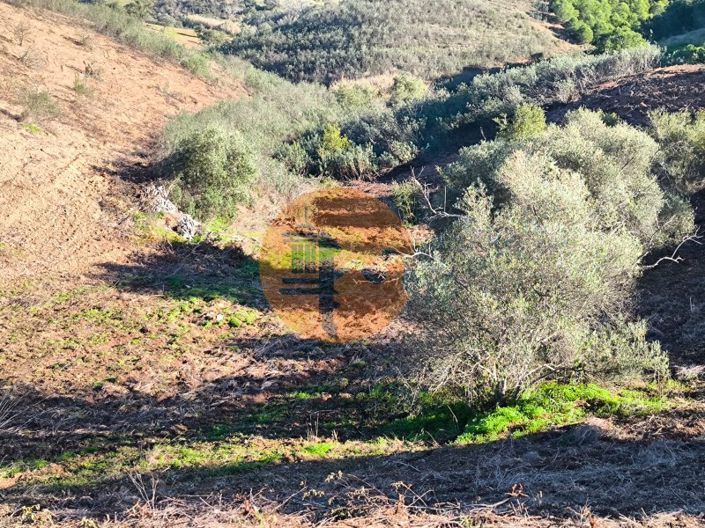 Image No.16-Plot for sale