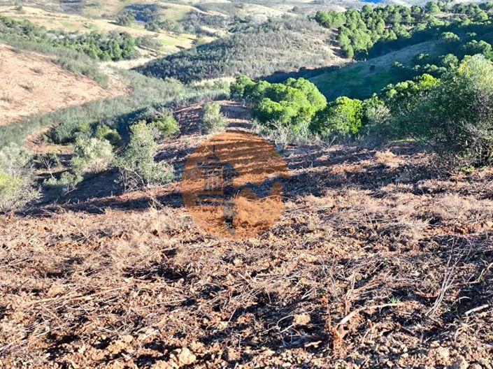 Image No.19-Plot for sale