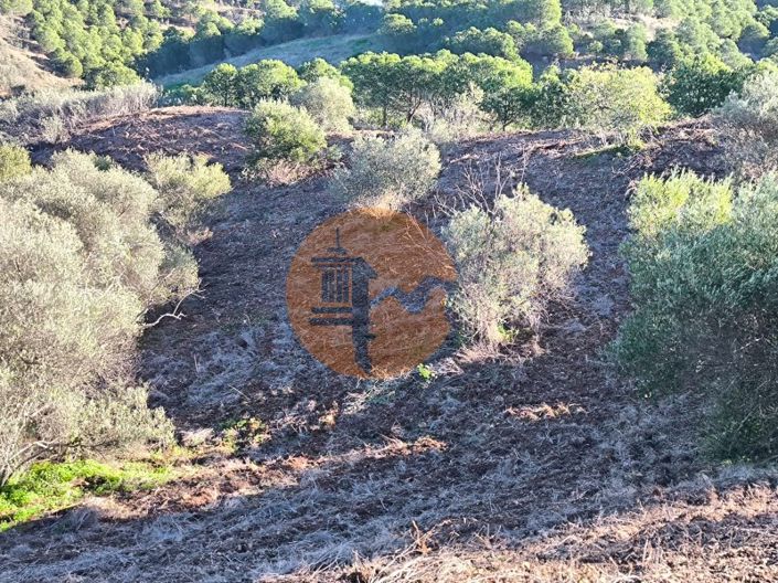 Image No.20-Plot for sale