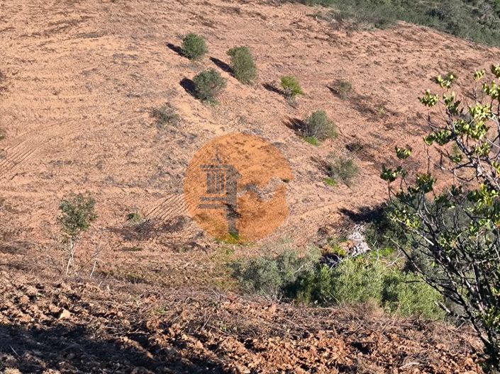 Image No.21-Plot for sale