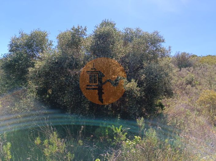 Image No.26-Plot for sale