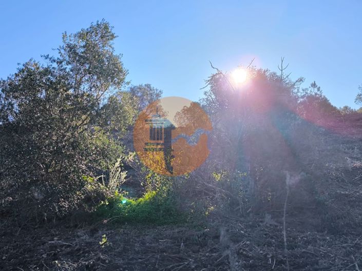 Image No.27-Plot for sale