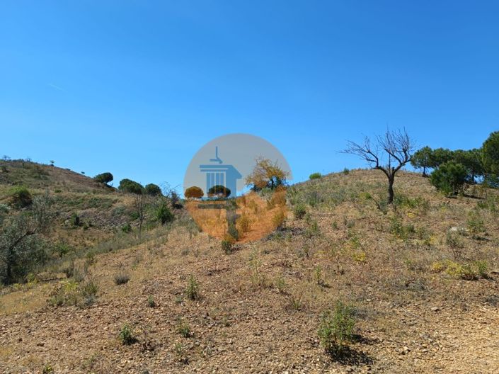 Image No.6-Plot for sale