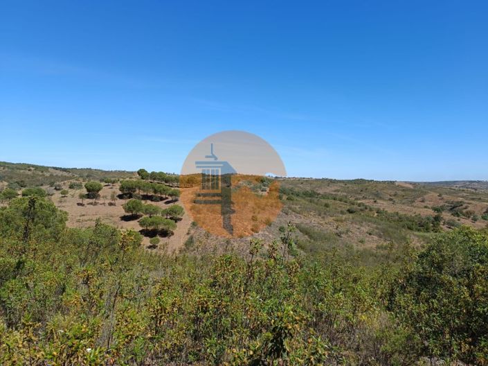 Image No.8-Plot for sale