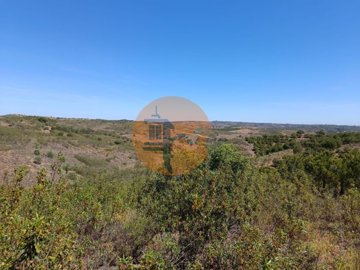 id75c16a01-0000-0500-0000-00001142c5a4