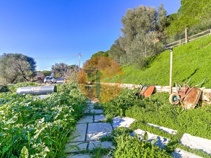 Image No.45-4 Bed House for sale