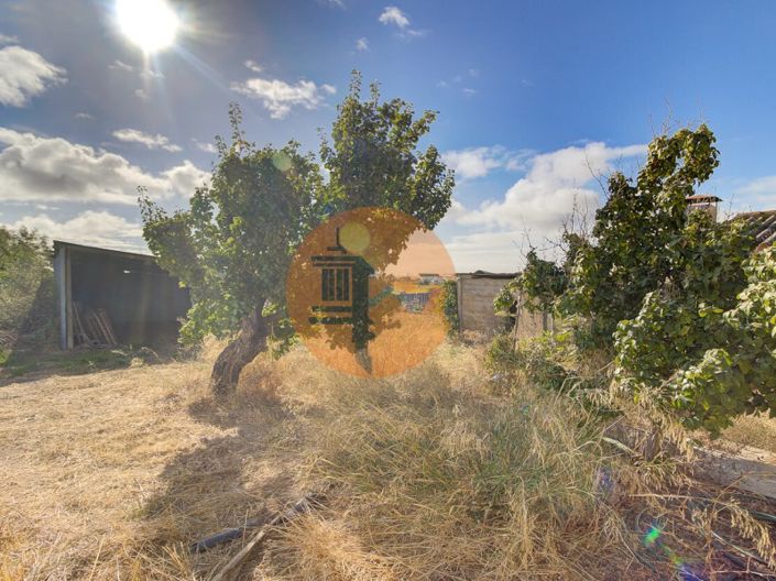 Image No.12-Ferme de 3 chambres à vendre à Tavira