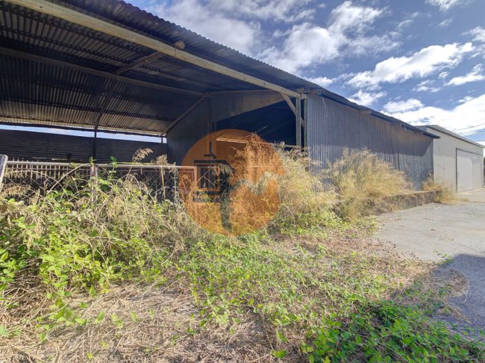 Image No.6-Ferme de 3 chambres à vendre à Tavira