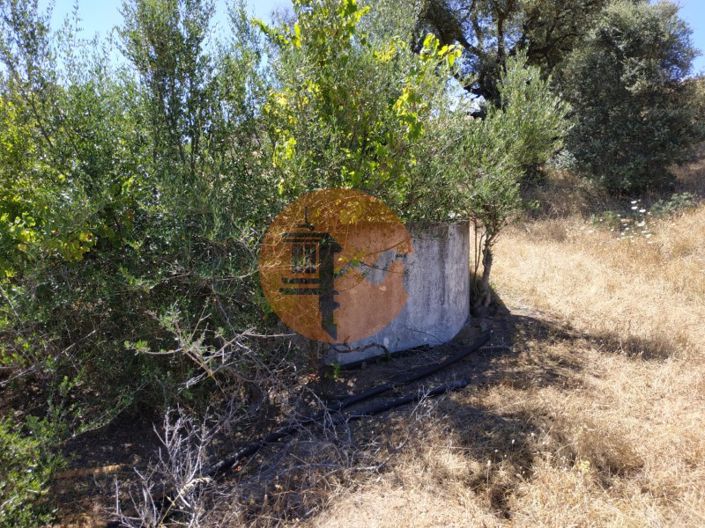 Image No.17-Maison de 4 chambres à vendre à Castro Marim