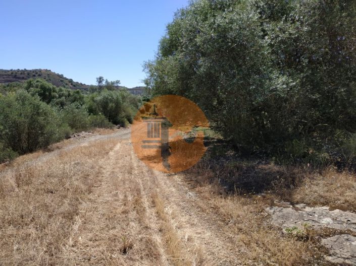 Image No.18-Maison de 4 chambres à vendre à Castro Marim