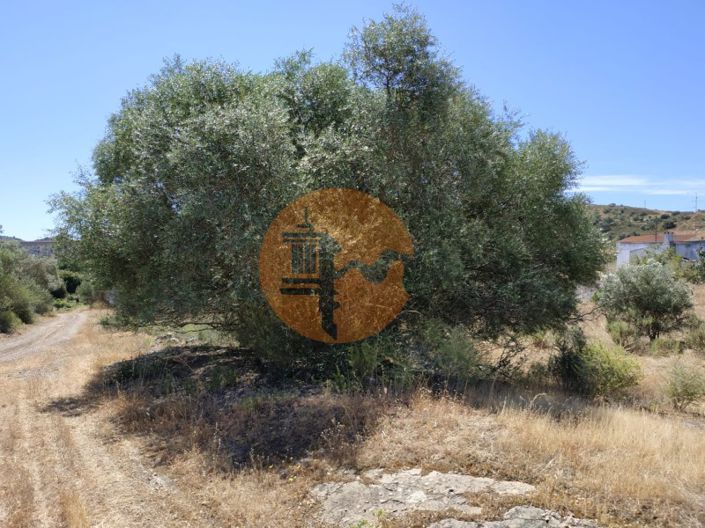 Image No.21-Maison de 4 chambres à vendre à Castro Marim