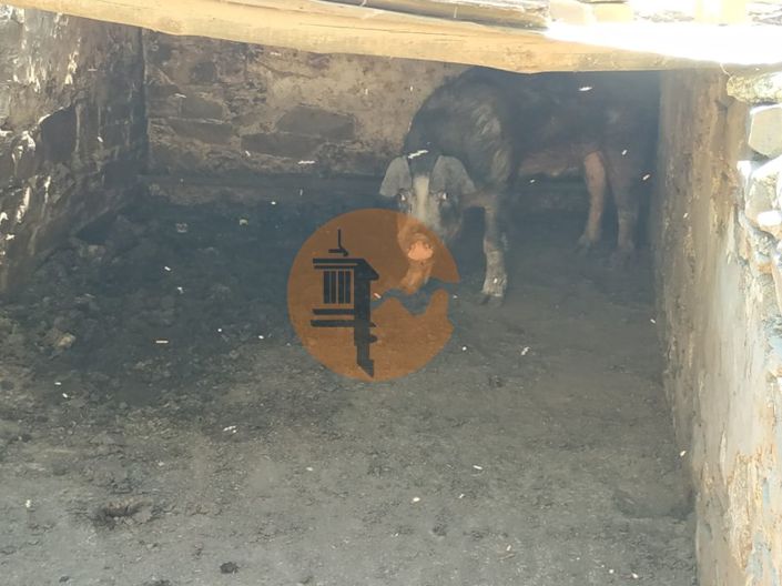 Image No.28-Maison de 4 chambres à vendre à Castro Marim