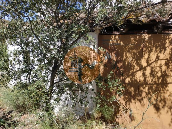 Image No.30-Maison de 4 chambres à vendre à Castro Marim