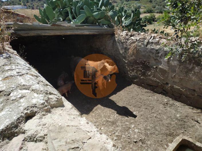 Image No.32-Maison de 4 chambres à vendre à Castro Marim