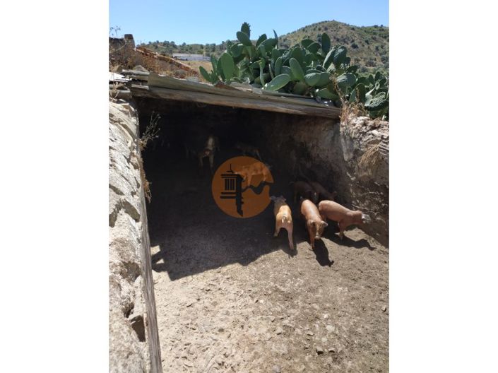 Image No.34-Maison de 4 chambres à vendre à Castro Marim