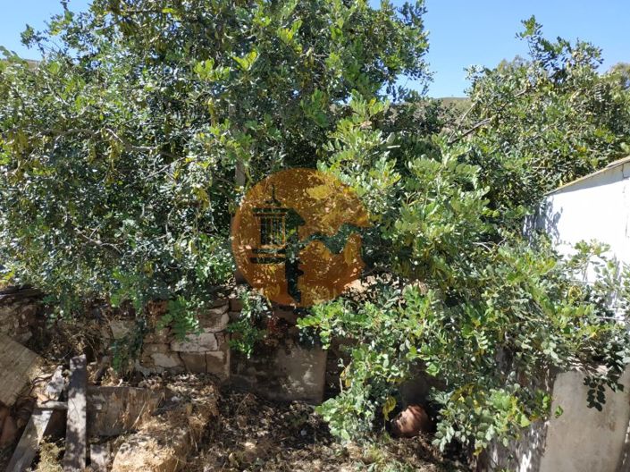 Image No.37-Maison de 4 chambres à vendre à Castro Marim