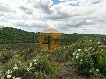 id822abd01-0000-0500-0000-0000183a6135