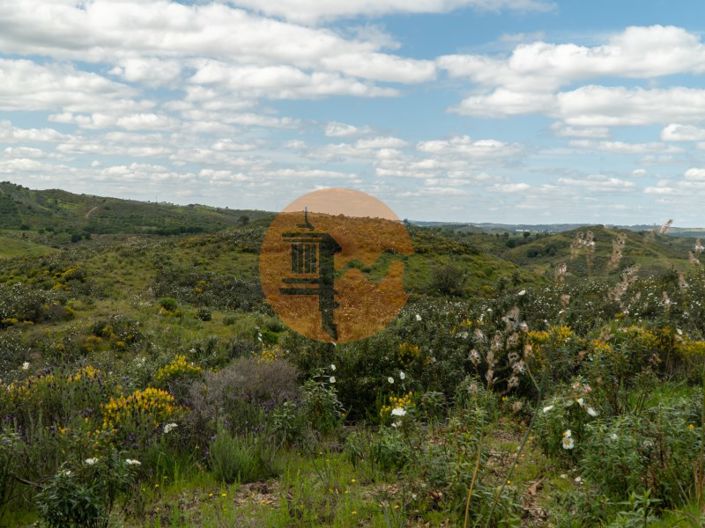 Image No.14-Plot for sale