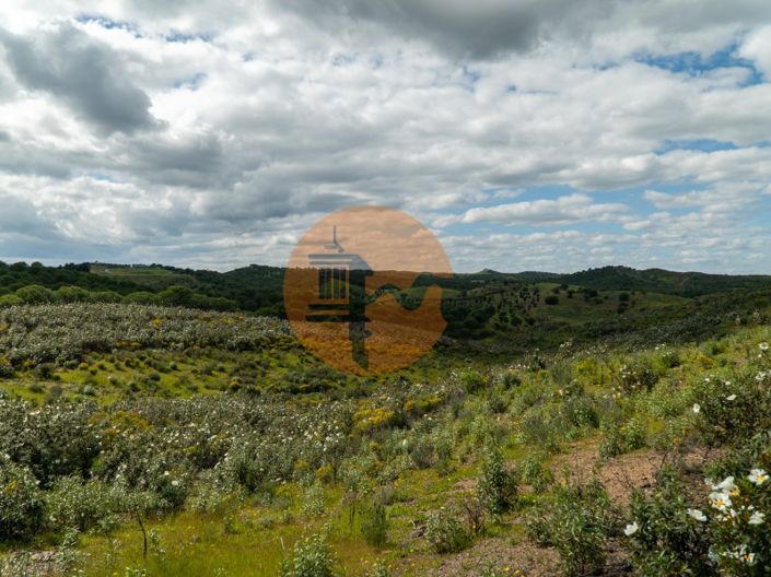 Image No.25-Plot for sale