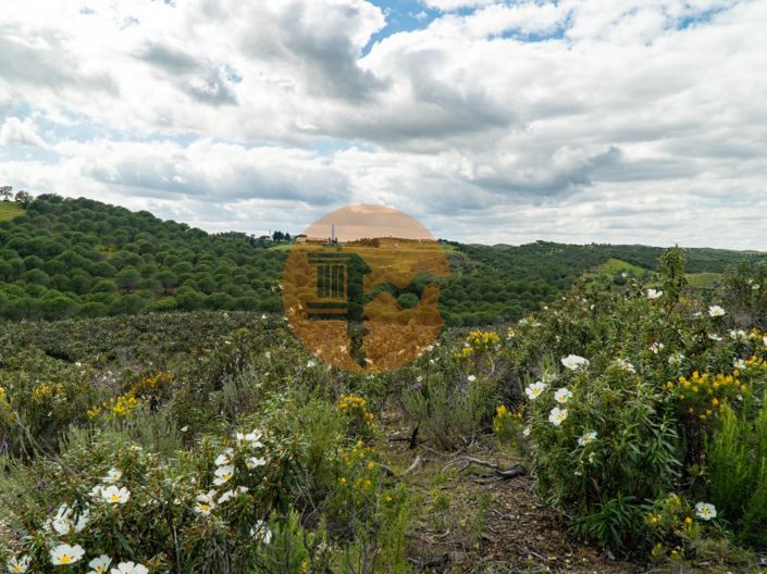 Image No.27-Plot for sale