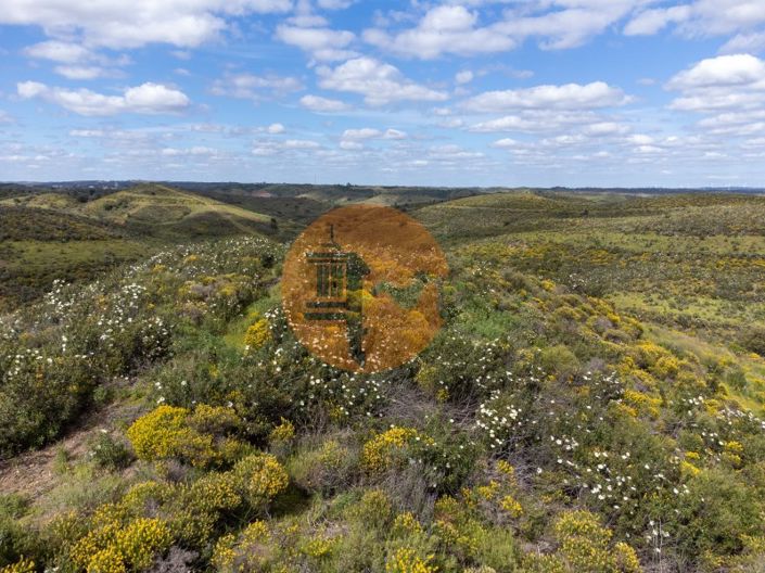 Image No.29-Plot for sale