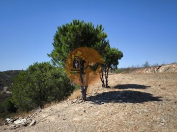 id080b9f01-0000-0500-0000-0000163c5da2