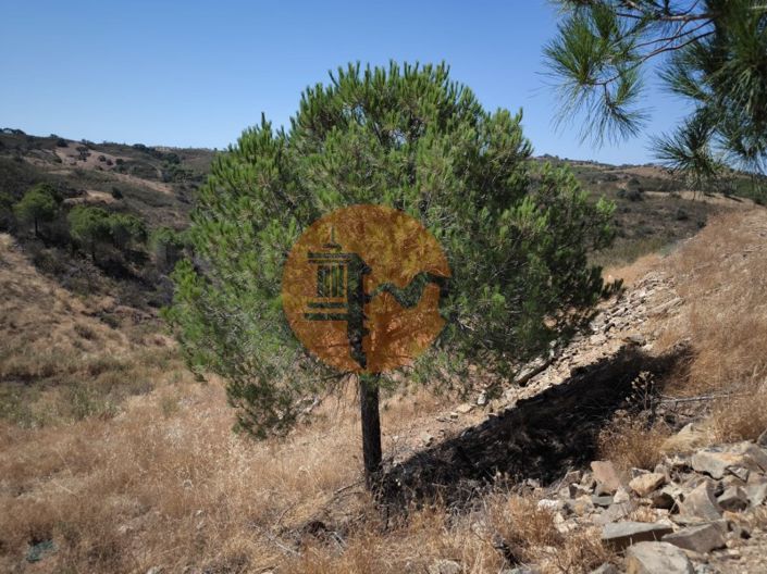 Image No.16-Plot for sale