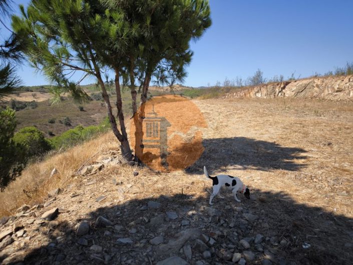 Image No.18-Plot for sale