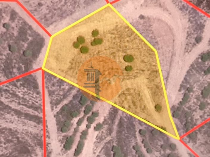 Image No.3-Plot for sale