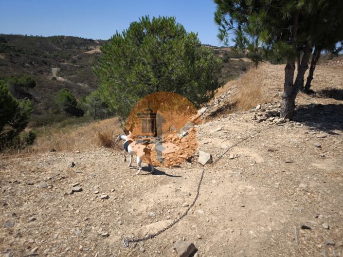 Image No.34-Plot for sale