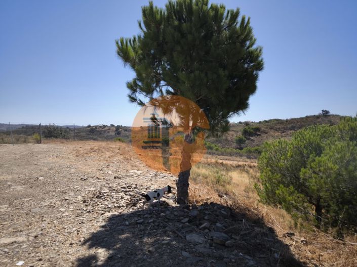 Image No.35-Plot for sale