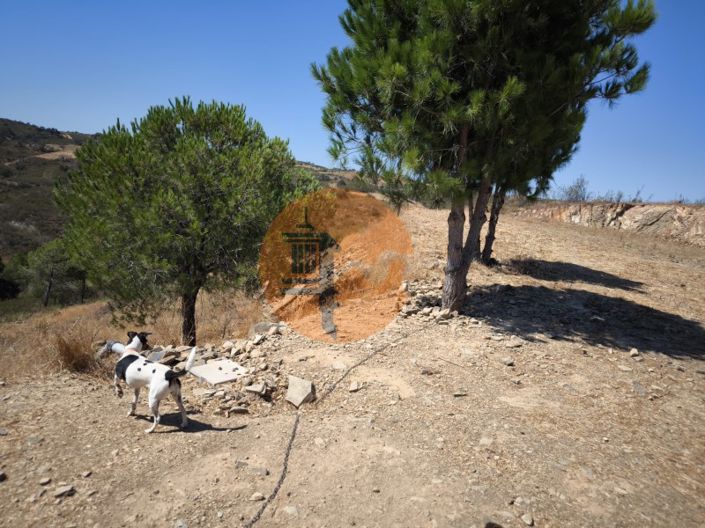 Image No.37-Plot for sale