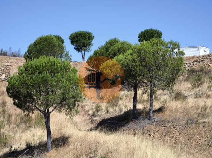 Image No.5-Plot for sale