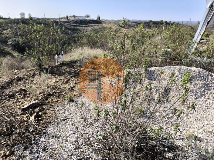 Image No.10-Plot for sale