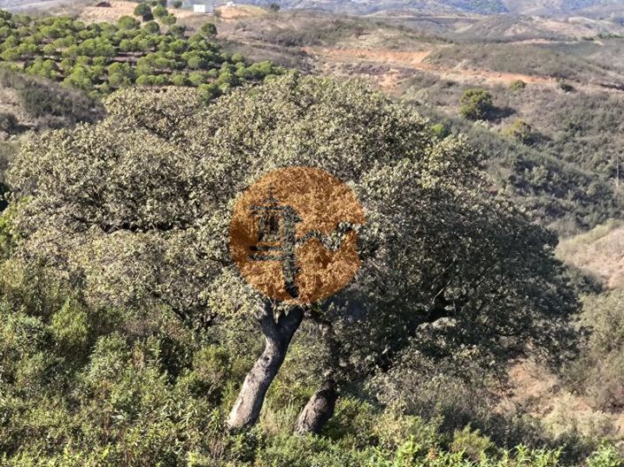 Image No.18-Plot for sale