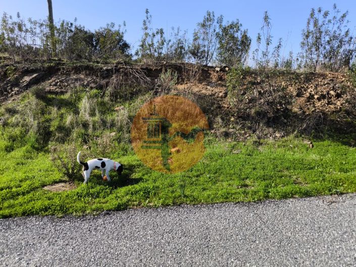 Image No.19-Plot for sale