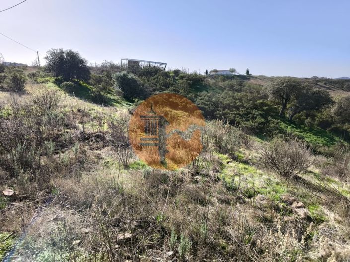 Image No.4-Plot for sale